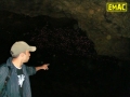 emac-cave-wildlife
