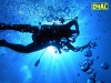 Scuba Diving | EMAC Adventures in Pakistan